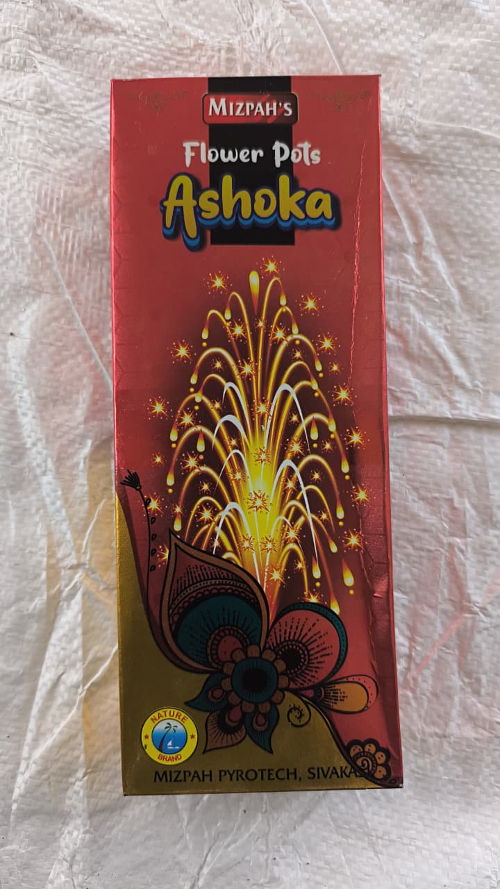 FLOWER POT ASOKA